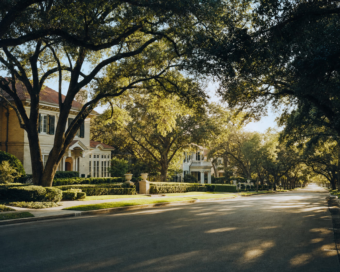 A quiet oak-lined street of established luxury homes in San Antonio